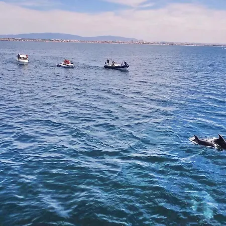 Buddha By Algarve Vacation Albufeira